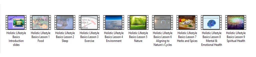holistic lifestyle basics video lessons