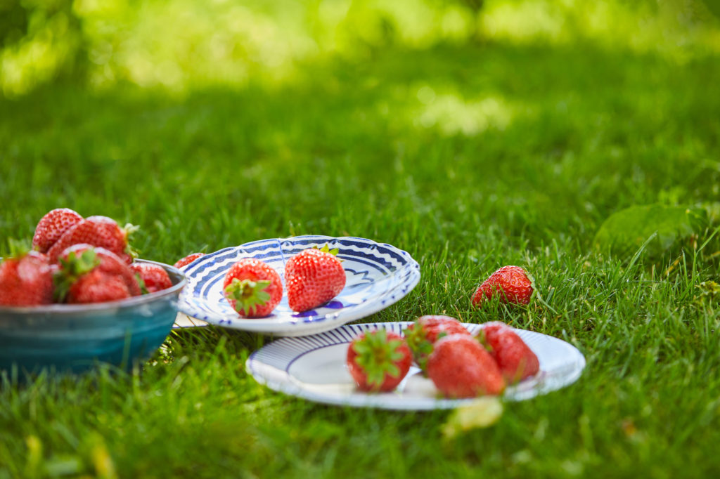 strawberries in the grass
