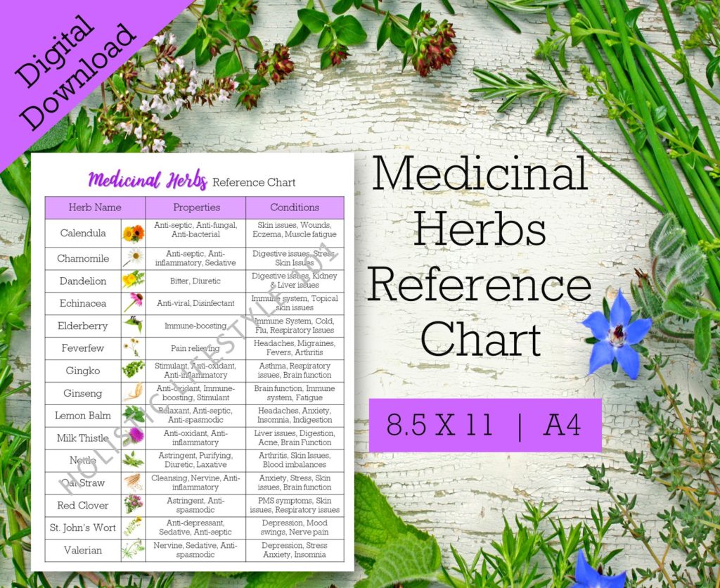 medicinal herbs reference chart
