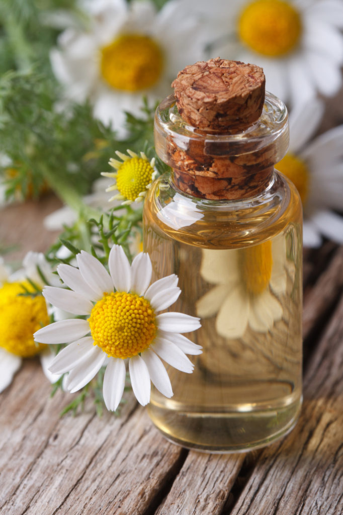 chamomile oil