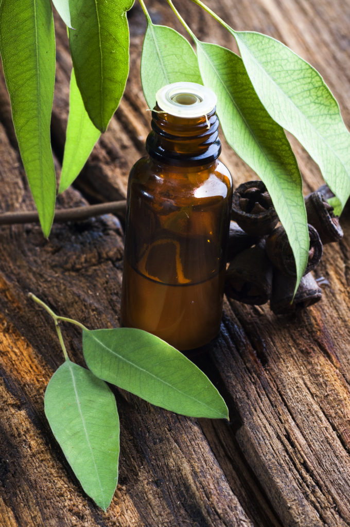 eucalyptus oil