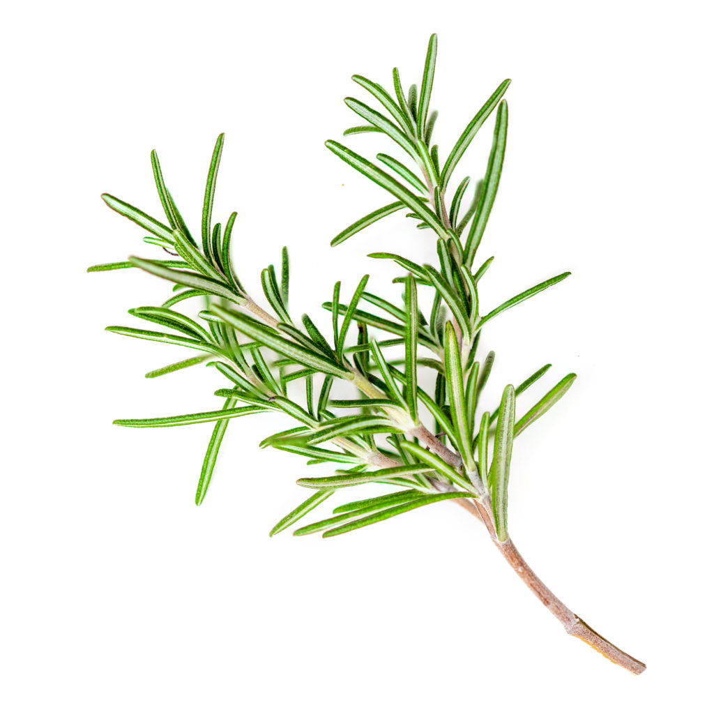 rosemary