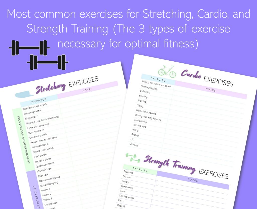 stretching, cardio, and strength training exercises