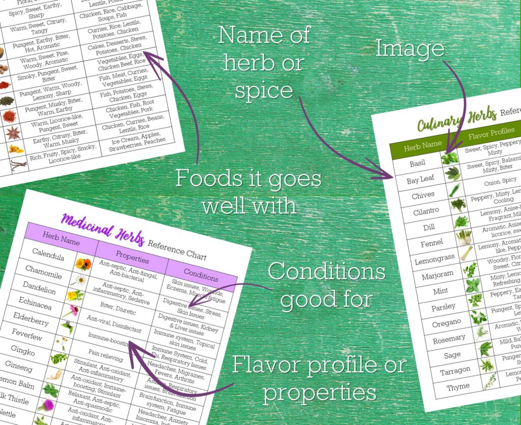 herbs and spices reference charts