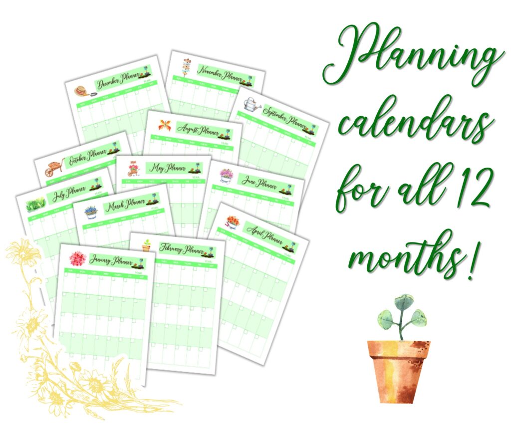 calendars for 12 months