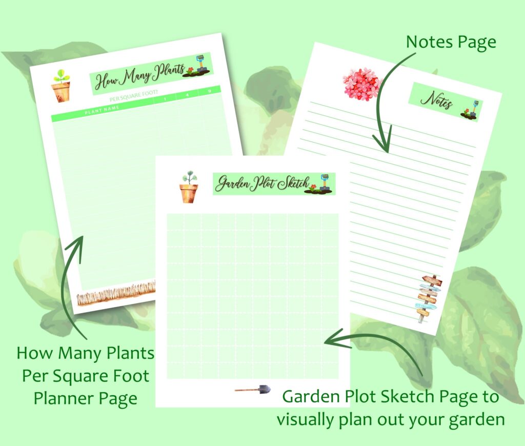 garden plot sketch